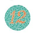 s_Ishihara_1