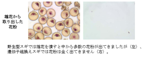 SnapCrab_2013-3-23_15-56-37_No-00