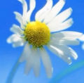 Ph008601_s