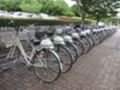 s_img_873460_32529659_10