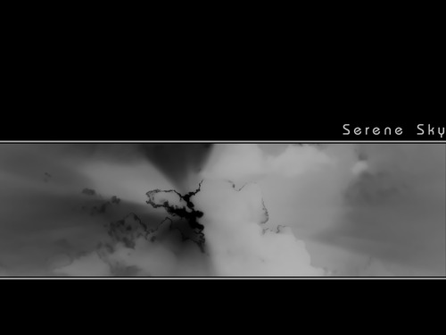 支援 (15)