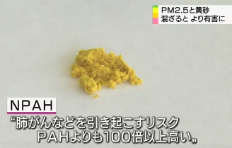 PH000981