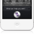 sirifaq_hero - コピー