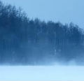 P025491_s