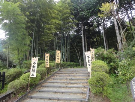 DSC09811