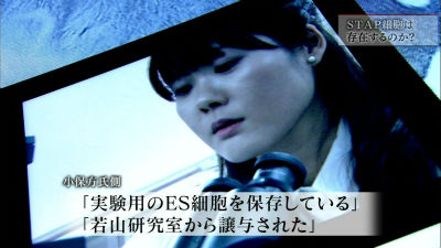 48668fa0_s