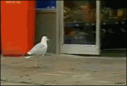 2 (1)