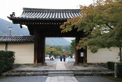 sjmn_5050a