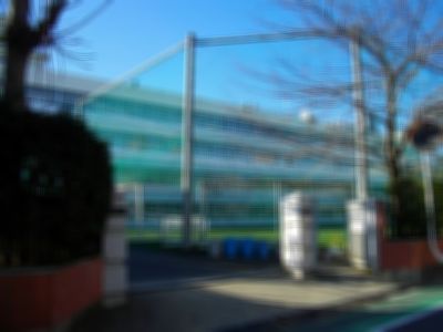 s_igh_School
