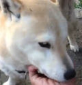 Ph005788_s