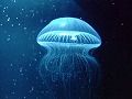 sconcept_02