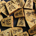 shogi