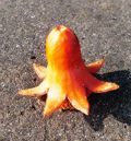 Ph012360_s