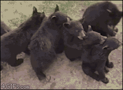 3 (3)