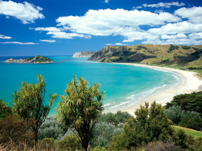 nz2_s