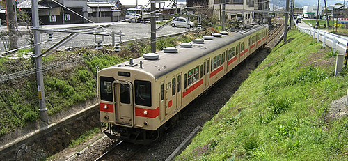 wakayamasen
