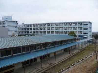 sPH001947
