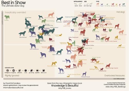 141120Dog_Rating_big