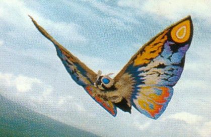 mothraback