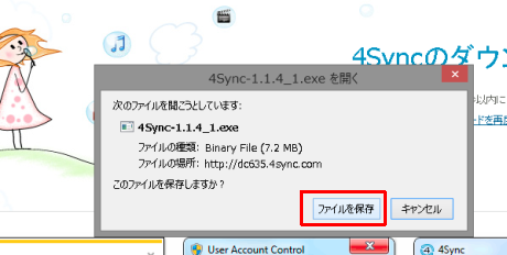 SnapCrab_2013-4-1_20-22-7_No-00