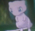Ph017911_s