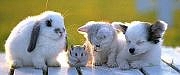 news (7)