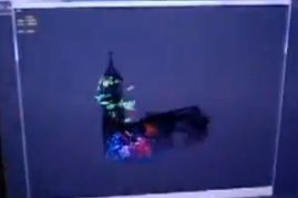 Ph007269