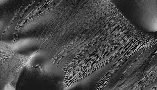 68417_0_600x344