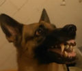 Ph002105_s