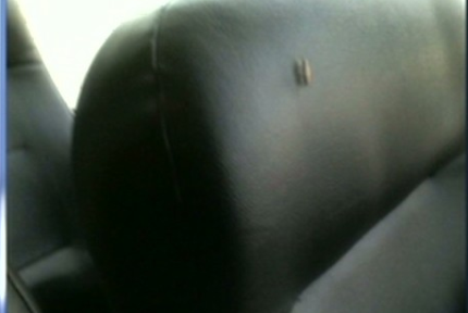 SnapCrab_2013-3-17_20-2-30_No-00