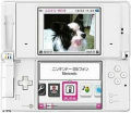 �ĳ����ǥ��饱�����������ǥ˥�ƥ�ɡ�DSi�ˡ����ɥ��⤫���NINTENDO DSi Phone���о�ġġ�