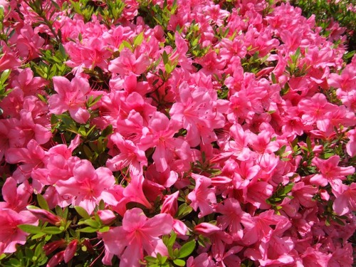 ura-photo-2009-04-07T17-12-02-15