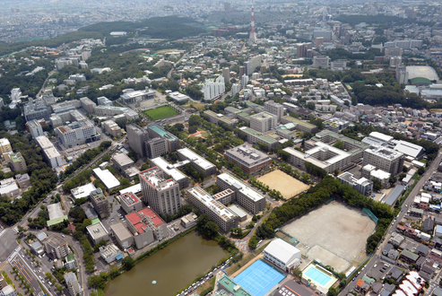 PH005240