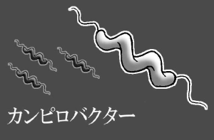 004058