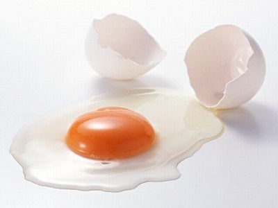 segg