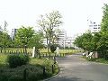 s695932_5d377a189d_ml