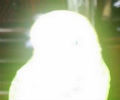 P026914_s