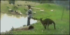 4 (3)