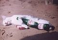 s-猫泥酔い