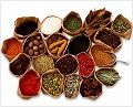 s_spice_shot01