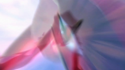 Ph009207