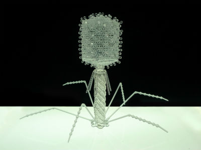 ah_virus1
