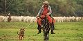 s_201012_cowboy_leader