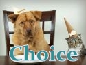 choice