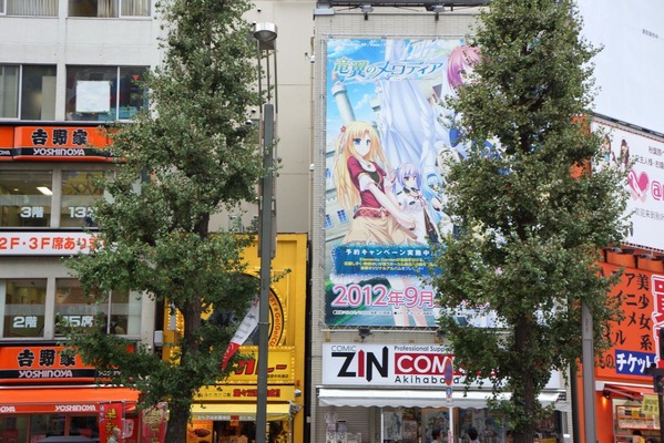 DSC03641