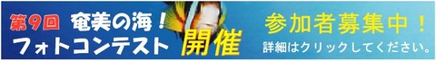 advertising