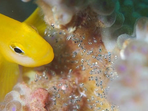 マクロ部門5位