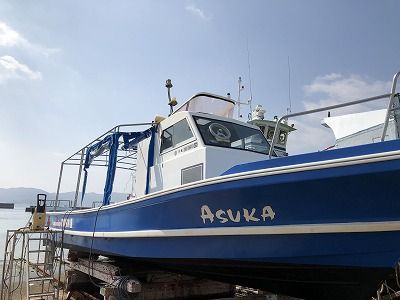 IMG_7048