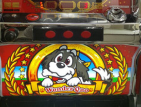 wonderqoo