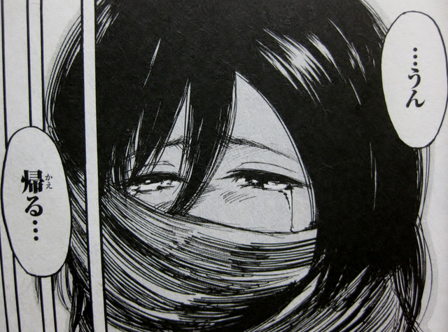 mikasa